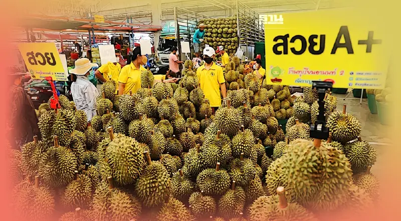 คอทุเรียนเฮ ตลาดไท แจกคูปอง 50 บาท 100 สิทธิ์/วัน