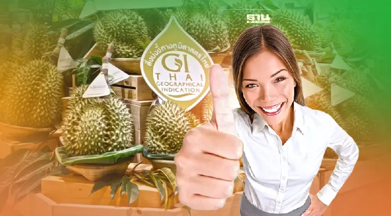 “ทุเรียนนนท์” ของดีสินค้า GI   ขึ้นห้างโมเดิร์นเทรด สร้างรายได้ให้เกษตรกร