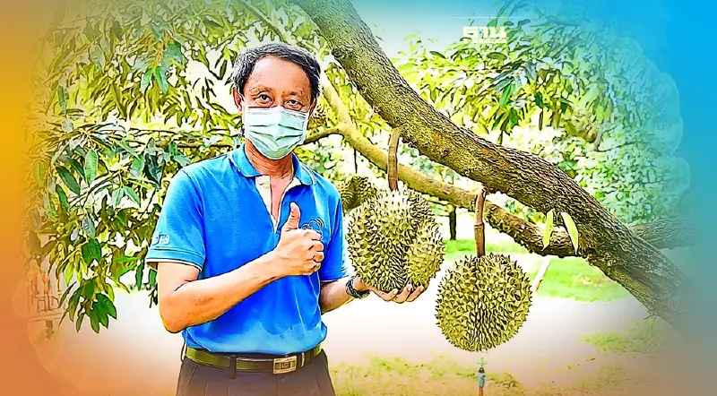 รู้ยัง “ทุเรียนภูเขาไฟ” ใช้ระบบ  QR Trace on Cloud