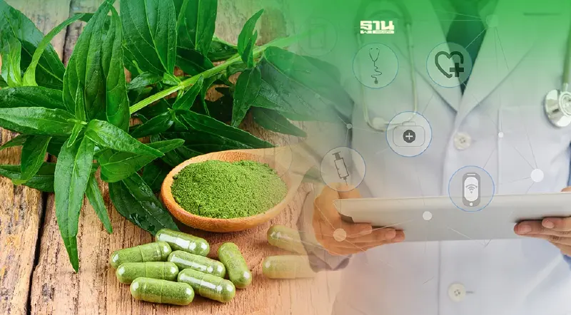 มาเลเซีย สนใจนโยบาย "กัญชาทางการแพทย์" เล็งบินดูงาน