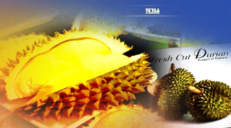 วช.– มธ.ผุดไอเดียดึงเทคโนโลยี อัพเกรดทุเรียนไทย สร้างรายได้เกษตรกร วช.– มธ.ผุดไอเดียดึงเทคโนโลยี อัพเกรดทุเรียนไทย สร้างรายได้เกษตรกร