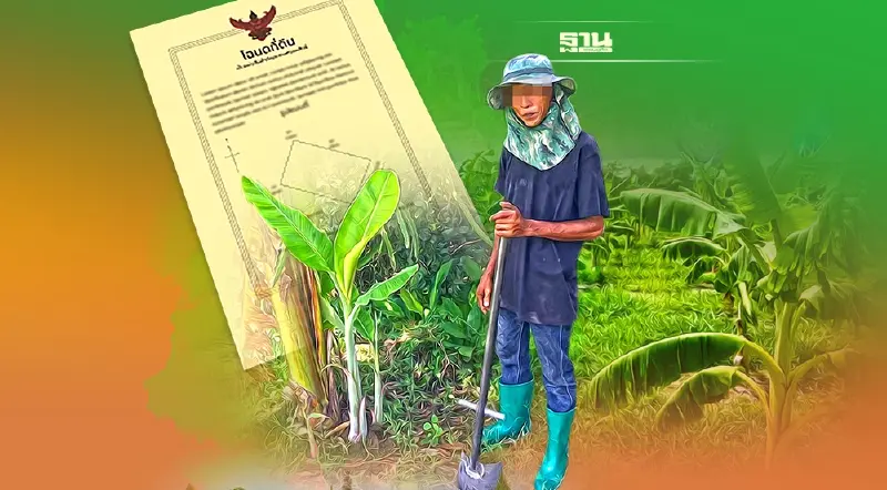 "ภาษีที่ดิน" จุดพลุอาชีพใหม่ รับจ้างปลูกกล้วย