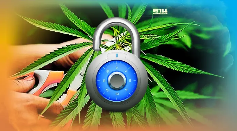 ประธานสภา ขอเพิ่มวันประชุมสภา พร้อมถก กม.ปลดล็อกกัญชา 8 มิ.ย.นี้