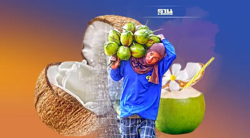 เกษตรฯ ไฟเขียวรับรองสวน 6 บิ๊ก “ไม่ใช้ลิงเก็บมะพร้าว” ป้องตลาด 1.3 หมื่นล้าน