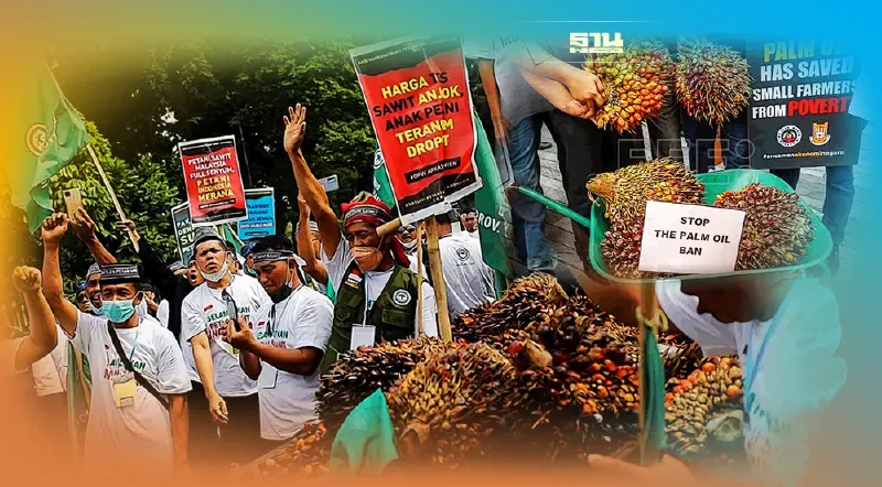 ชาวสวนปาล์มอินโดฯ ลุกฮือประท้วง ร้องรัฐยกเลิกห้ามส่งออกน้ำมันปาล์ม 
