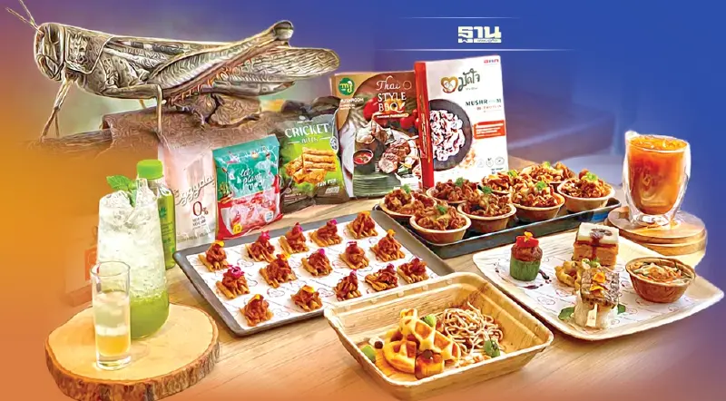 ส่องโอกาส ‘แมลง’ ไทย ชิงแชร์ตลาดอาหารจากแมลงโลก