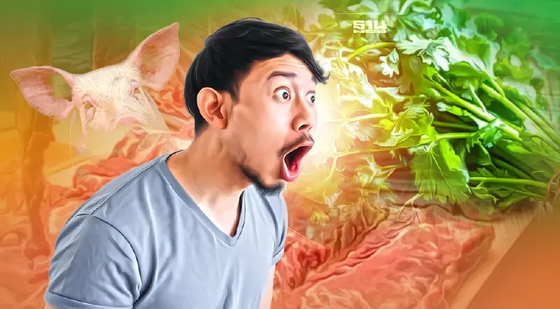 หมูแพง-ผักแพงกลับมาอีกแล้ว เช็คราคาวันนี้ที่นี่