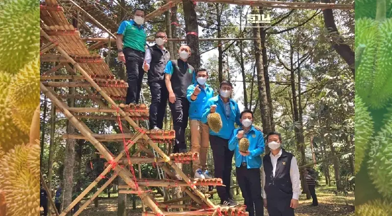 สถิติใหม่ "ทุเรียนไทย" ส่งออกจีน 1แสนล้านบาท ขยายตัว 68.4%