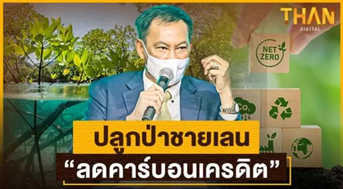การปลูกป่าชายเลนช่วย "ลดคาร์บอนเครดิต" การปลูกป่าชายเลนช่วย "ลดคาร์บอนเครดิต"
