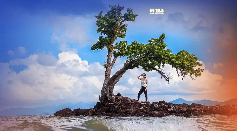 ชวนเที่ยวทริปโลว์คาร์บอนทะเลตราด"พิชิตเกาะขายหัวเราะ"ภายในก.ค.นี้