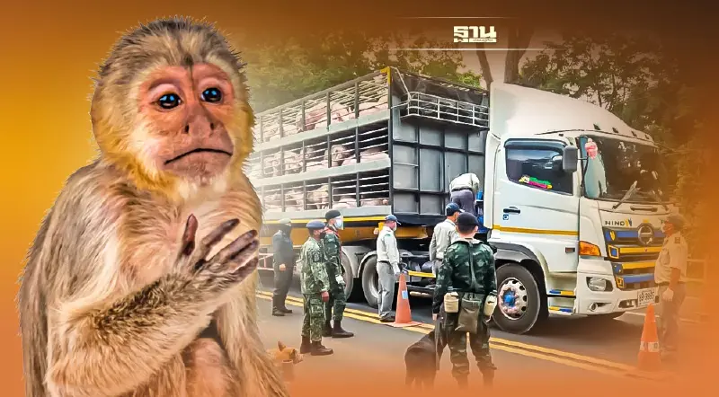 กรมอุทยานแห่งชาติฯ คุมเข้มด่านตรวจสัตว์ป่าบล็อก "ฝีดาษลิง"