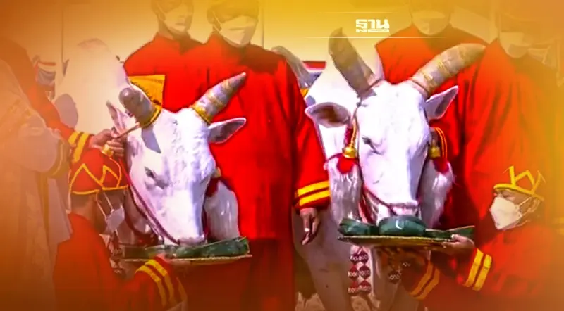 พระโคกิน "น้ำ-หญ้า-ถั่ว-เหล้า" น้ำท่าบริบูรณ์-การค้า-คมนาคมสะดวก