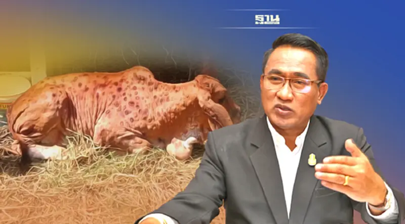ให้ผู้ว่าฯ ประกาศสิ้นสุดโรค หากไม่พบ "ลัมปิ สกิน" เกิน 60 วัน ให้ผู้ว่าฯ ประกาศสิ้นสุดโรค หากไม่พบ "ลัมปิ สกิน" เกิน 60 วัน
