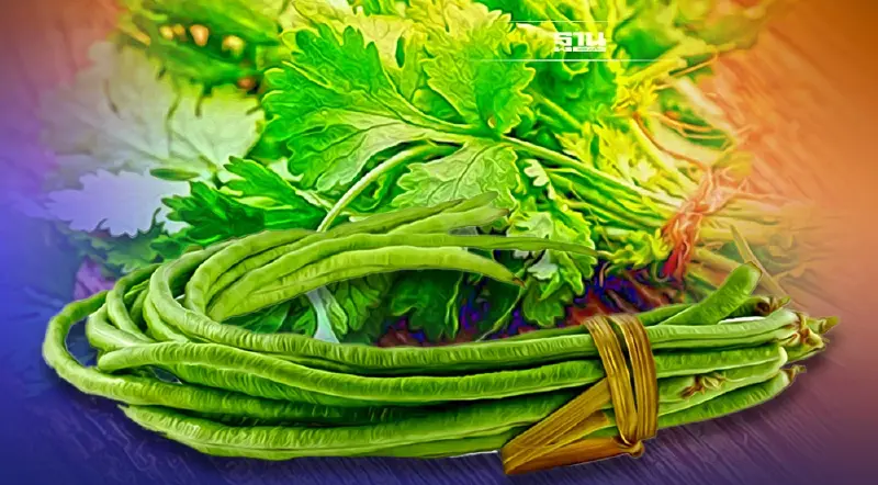 ราคาผักชี-ถั่วฝักยาวกลับแพงอีกครั้ง กิโลละเท่าไหร่ เช็คเลย