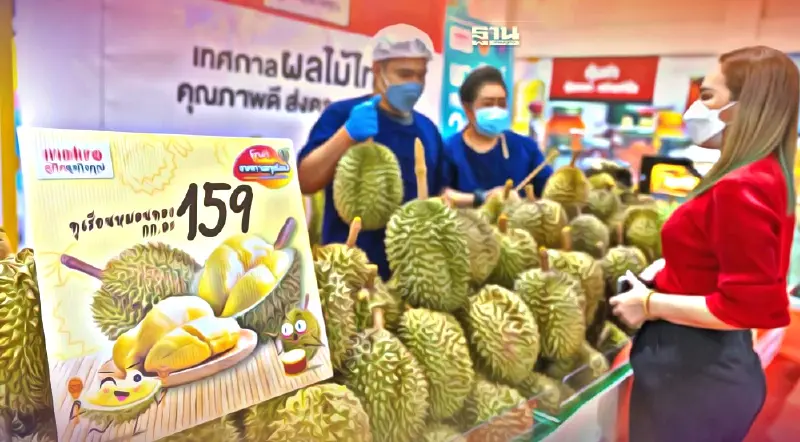 แม็คโครจัดให้ ขายตรงทุเรียนจากสวน “หมอนทอง” เริ่มต้นโลละ 159