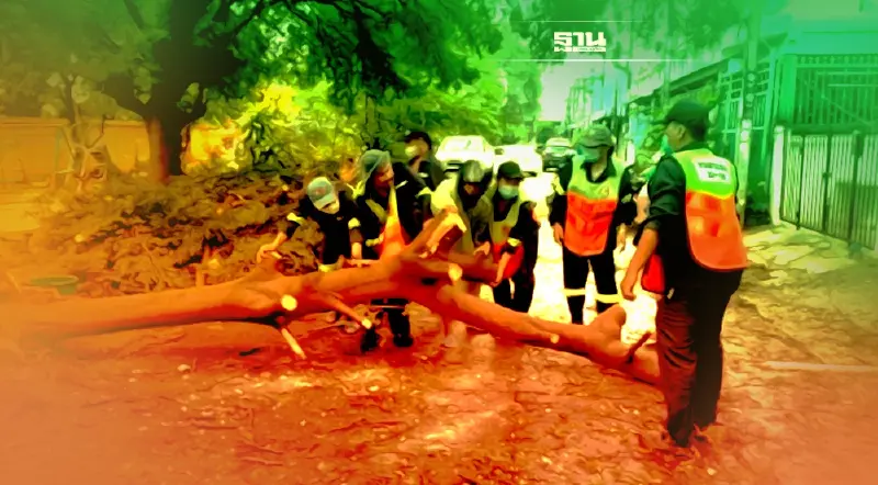 กทม.สั่ง 50 เขตเร่งบรรเทาผลกระทบจาก"พายุฤดูร้อน"