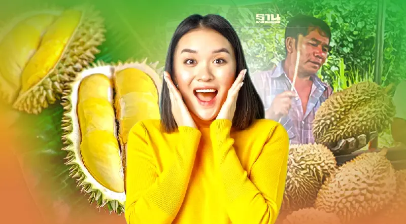 วิธีเลือกซื้อทุเรียน "เคาะ-ดม-ดู" ทำตามนี้ มีแต่อร่อย ไม่โดนแกง