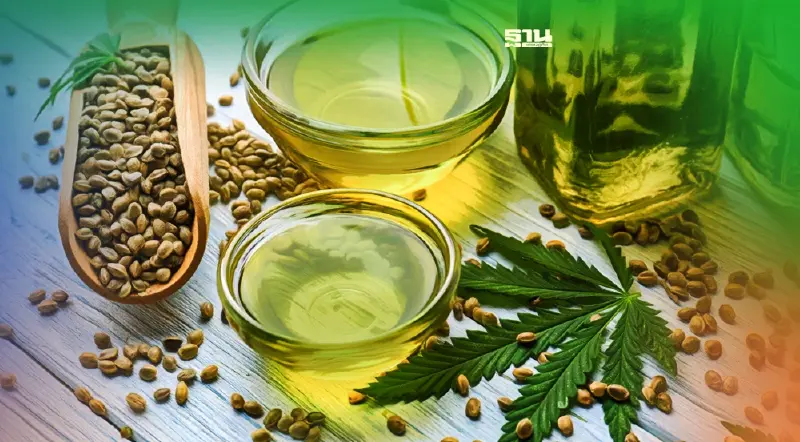 ข่าวดี! "น้ำมันกัญชา" ขององค์การเภสัชฯ บรรจุในบัญชียาหลักแห่งชาติแล้ว