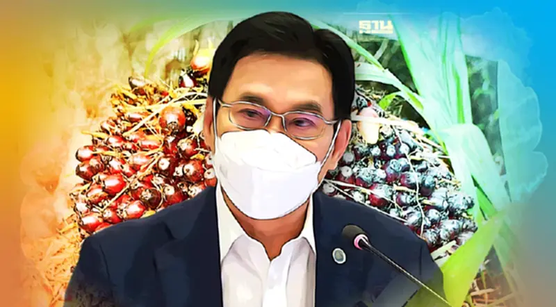 จุรินทร์ชง กนป.ตั้งคณะอนุฯ ดูแลราคาปาล์ม สั่งพาณิชย์จังหวัดรายงานทุก 7 วัน จุรินทร์ชง กนป.ตั้งคณะอนุฯ ดูแลราคาปาล์ม สั่งพาณิชย์จังหวัดรายงานทุก 7 วัน