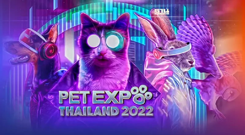 Pet Expo Thailand 2022 จัดที่ไหน เปิดกี่โมง ปิดกี่โมง มีไฮไลท์อะไรเด็ด Pet Expo Thailand 2022 จัดที่ไหน เปิดกี่โมง ปิดกี่โมง มีไฮไลท์อะไรเด็ด