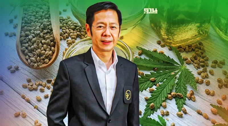 ใช้ กัญชา-กัญชง ทำอาหารขายหลัง 9 มิย.ต้องยื่นขอเลขสารบบอาหาร