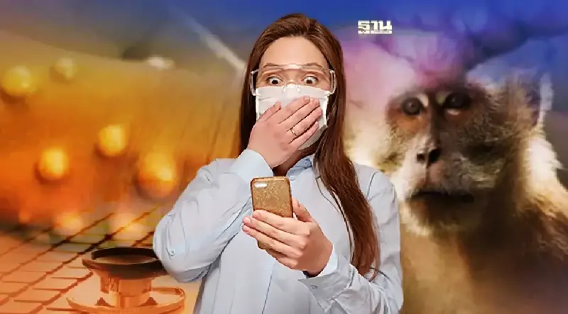 โรคฝีดาษลิงน่ากลัวแค่ไหน แพร่เชื้ออย่างไร มีวัคซีนป้องกันหรือไม่ อ่านเลย