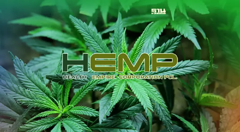 HEMP มีเฮ ตลาดหลักทรัพย์ฯ ปลด C ดีเดย์ 17 พ.ค.นี้ HEMP มีเฮ ตลาดหลักทรัพย์ฯ ปลด C ดีเดย์ 17 พ.ค.นี้