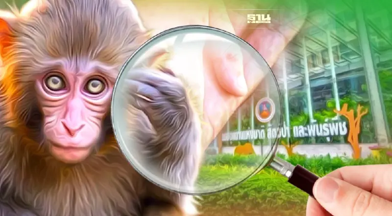 กรมอุทยานฯ คุมเข้มด่านตรวจสัตว์ป่า ร่วมสกัด "ฝีดาษลิง"