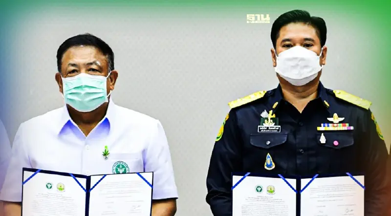 สธ.จับมือ กวก. พัฒนาสายพันธุ์ กัญชา กัญชง ใช้ประโยชน์ทางการแพทย์-สุขภาพ