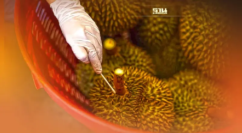 ไบโอซายน์ พัฒนาชุดตรวจโควิด-19 ในทุเรียน-ผลไม้ส่งออก