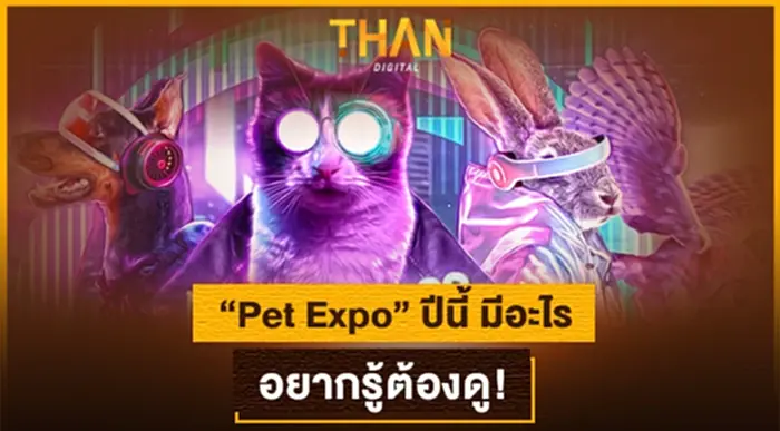 Pet Expo ปีนี้ มีอะไร อยากรู้ต้องดู ! เหล่าทาสห้ามพลาด ! Pet Expo ปีนี้ มีอะไร อยากรู้ต้องดู ! เหล่าทาสห้ามพลาด !