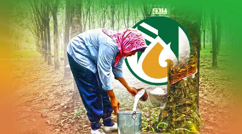 ขึ้นทะเบียนสวนยาง 2565 ไม่มีเอกสารสิทธิ์ กยท.ให้ชาวสวนยื่นถึงวันไหนดูเลย