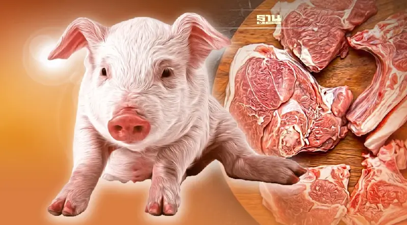 "ลักลอบนำเข้าหมู" กระทบ 3 เด้ง  รายย่อยเลิกเลี้ยงแล้ว 50% กู่กลับยาก