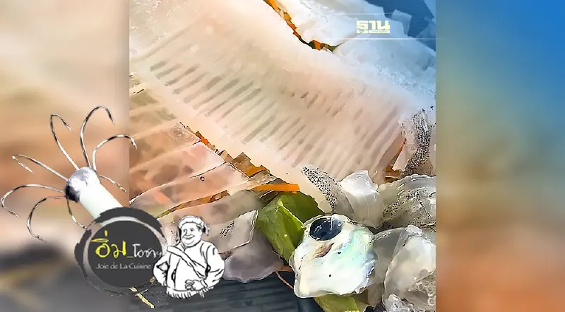 ปรัชญา ปลาหมึก