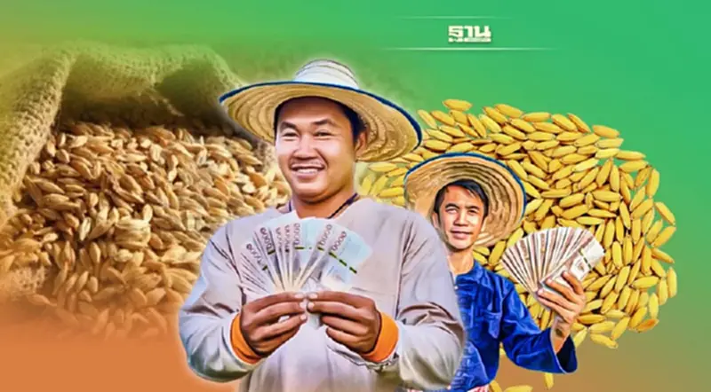 ประกันรายได้ข้าว งวด30 มาแล้ว ข้าวแปลือกเหนียวรับสูงสุด ประกันรายได้ข้าว งวด30 มาแล้ว ข้าวแปลือกเหนียวรับสูงสุด