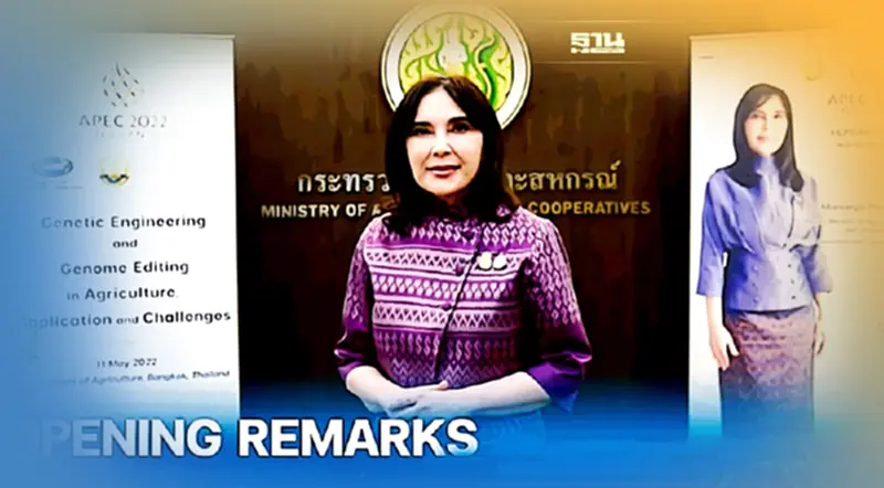 เริ่มแล้วเปิดประชุมเชิงปฏิบัติการ APEC เริ่มแล้วเปิดประชุมเชิงปฏิบัติการ APEC