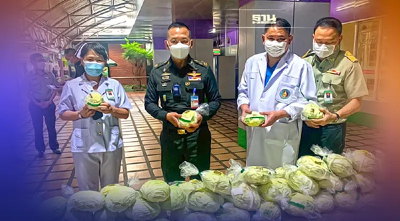 หนุนผักโครงการหลวง ทำอาหารให้ผู้ป่วย-บุคลากรแพทย์ รพ.ทหารผ่านศึก หนุนผักโครงการหลวง ทำอาหารให้ผู้ป่วย-บุคลากรแพทย์ รพ.ทหารผ่านศึก