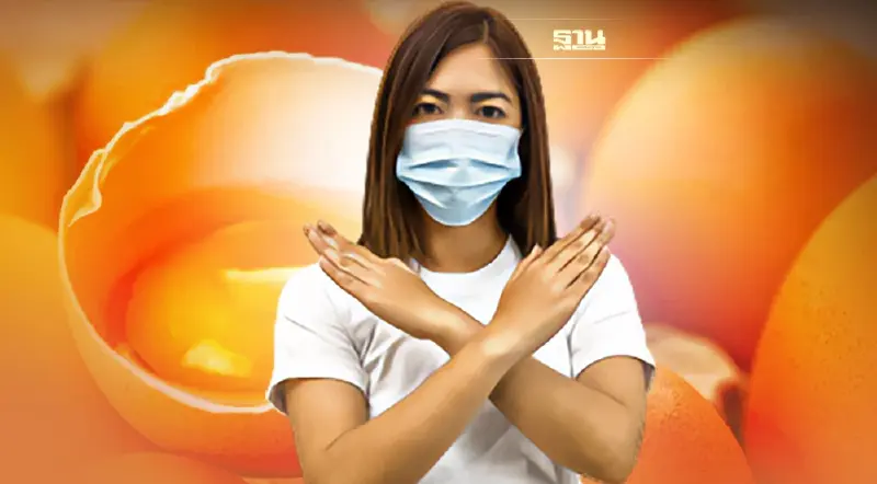 “ปศุสัตว์” สยบข่าวลือ  ไม่มีไข่ไก่ปลอมในไทยแน่นอน