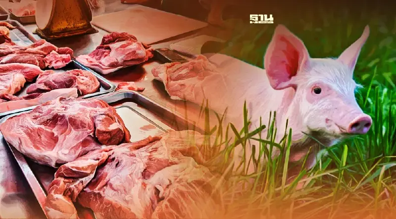 คนเลี้ยงหมูเลิกอาชีพกว่าหมื่นราย กลไกตลาดทางออกฟื้นผลผลิต