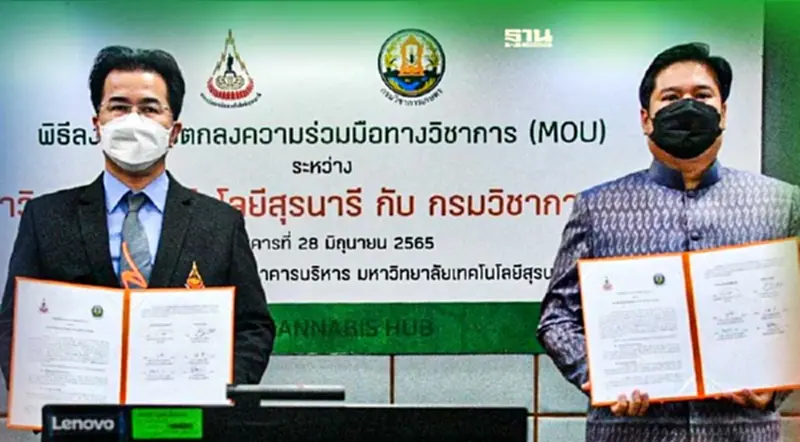 กรมวิชาการเกษตร ลงนาม MOU ม.สุรนารี วิจัยพัฒนากัญชา กรมวิชาการเกษตร ลงนาม MOU ม.สุรนารี วิจัยพัฒนากัญชา
