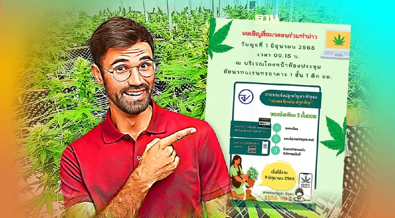 อย. เปิดตัวแอปฯพลิเคชั่น “ปลูกกัญ” จดแจ้งปลูกกัญชา ดูวิธีลงทะเบียนที่นี่