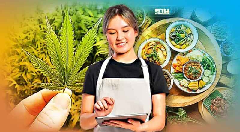 8 ข้อต้องรู้! นำ 'กัญชา' มาทำอาหาร ใช้ผิดอันตรายถึงชีวิต 8 ข้อต้องรู้! นำ 'กัญชา' มาทำอาหาร ใช้ผิดอันตรายถึงชีวิต