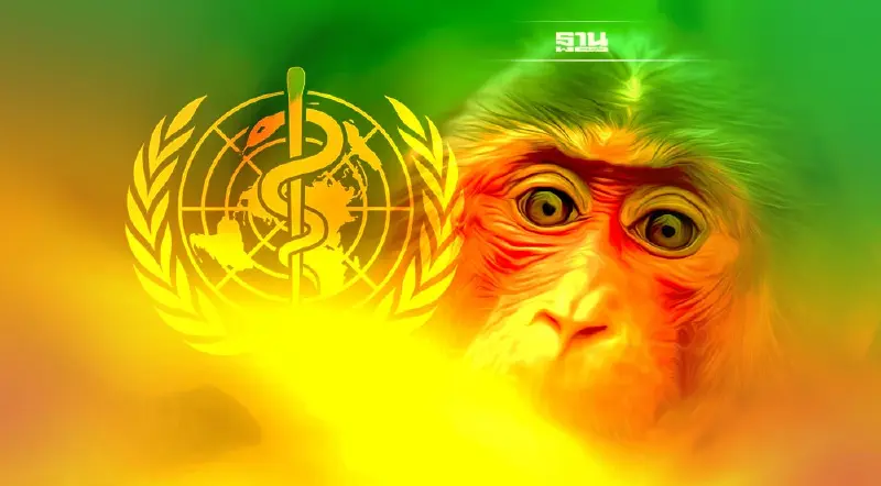 โรคฝีดาษลิง WHO ยังไม่จัดเป็นภาวะฉุกเฉินด้านสาธารณสุขระหว่างประเทศ