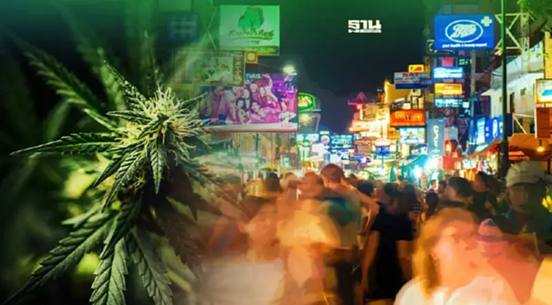 เอกชนเสนอเปิด ‘ถนนข้าวสาร’ สู่ ‘ฮับกัญชา’ ดึงดูดนักท่องเที่ยวจากทั่วโลก เอกชนเสนอเปิด ‘ถนนข้าวสาร’ สู่ ‘ฮับกัญชา’ ดึงดูดนักท่องเที่ยวจากทั่วโลก