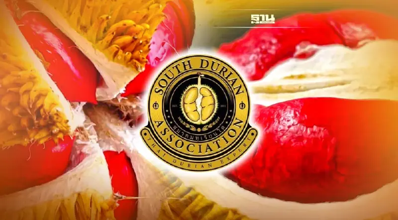 หวั่น เมล็ดพันธุ์ทุเรียนแดง ผสมข้ามทุเรียนพันธุ์ไทย