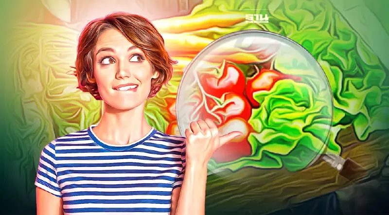 ผักแพง วันนี้(3มิ.ย.)ราคาเท่าไหร่ เช็คได้ที่นี่