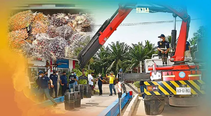 ตรวจเข้มเครื่องชั่งรถยนต์ รับซื้อปาล์มน้ำมัน ตรวจเข้มเครื่องชั่งรถยนต์ รับซื้อปาล์มน้ำมัน