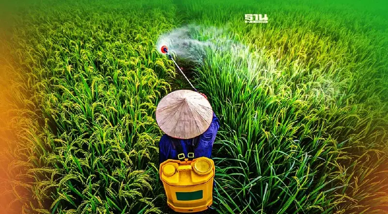 เกษตรกรกระอัก! พาณิชย์ไฟเขียวขึ้นราคาปุ๋ย