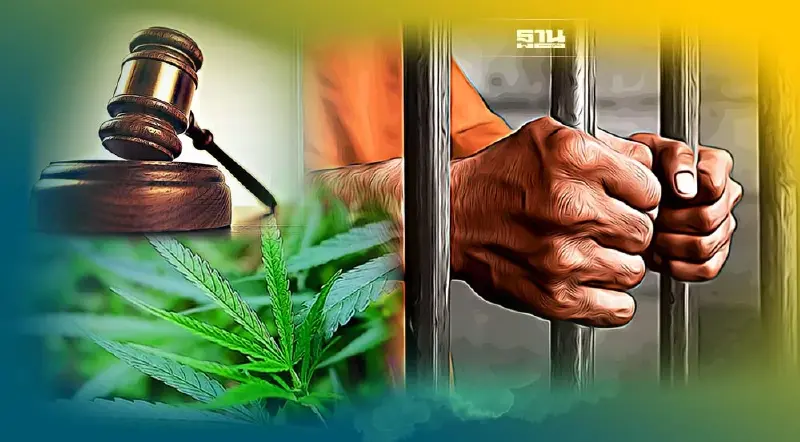 ดูชัดๆ นำเข้า "กัญชา กัญชง" ประเทศไหนที่มีโทษหนักถึงประหารชีวิต 