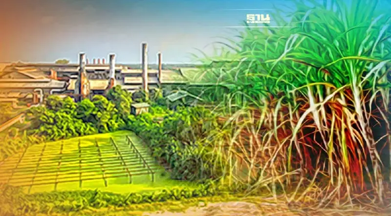 อุตฯ น้ำตาลป่วน 57 โรงงานขู่ลาออกจากกรรมการ 5 คณะ